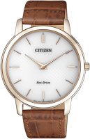 Zegarek męski Citizen Ecodrive AR1133-15A