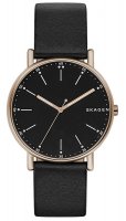 Zegarek męski Skagen Signatur SKW6401